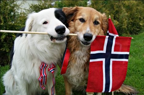 17TH MAY - HAPPY BIRTHDAY NORWAY!!! Norway National Day, Syttende Mai, 17. Mai, Lego Christmas Village, Norwegian Heritage, Beautiful Norway, American History Lessons, Lapland Finland, Constitution Day