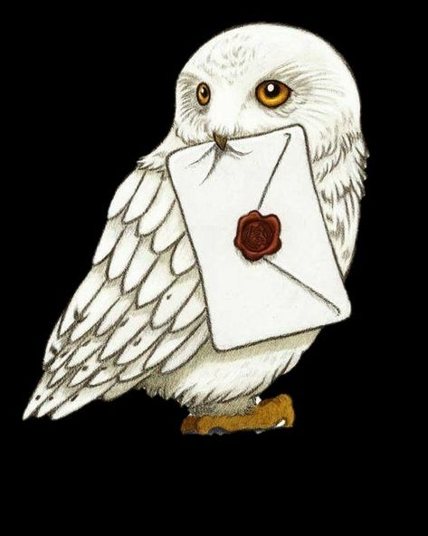 Hedwig Drawing, Drawing Ideas Easy For Teens, Craft For Teens, Craft For Kids Easy, Imprimibles Harry Potter, Easy Crafts For Teens, Harry Potter Owl, Harry Potter Hedwig, Crafts For Teens To Make