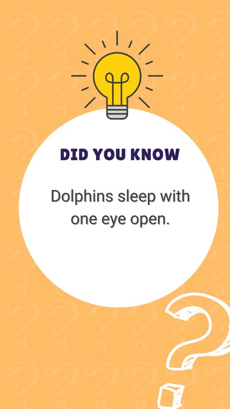 #DidYouKnow#fun facts#Curious Mind Friday Facts, Fun Facts For Kids, Fun Fact Friday, English Fun, Facts For Kids, Fun Fact, Fashion Kids, Cute Drawings