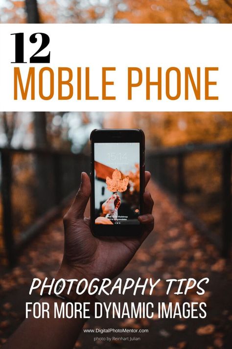 Phone Photography Tips For Beginners, Cell Phone Photography Ideas, Photography Mobile Ideas, Smartphone Photography Ideas, Mobile Photography Ideas, Dynamic Photos, I Phone Photography, Phone Photography Ideas, Samsung Photography