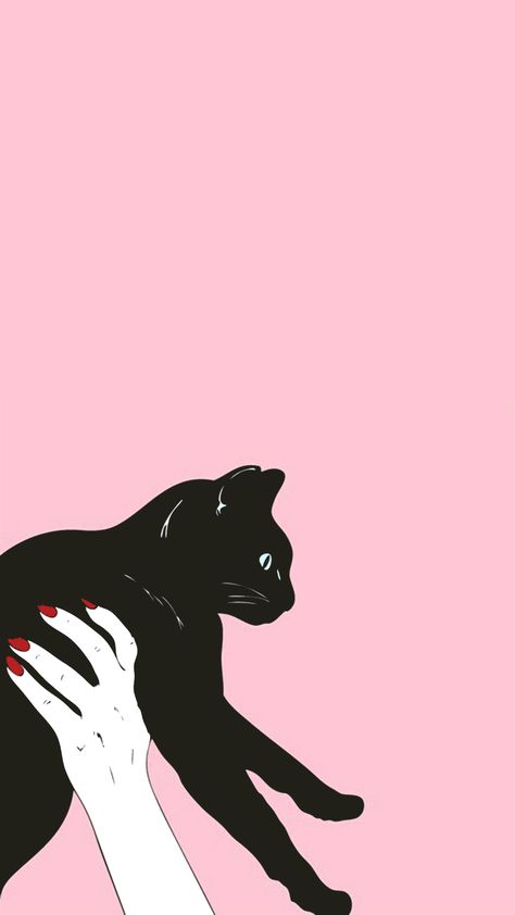 Fashion and shit Cat Phone Wallpaper, Wallpaper Seni, Iphone Wallpaper Cat, Wallpaper Estetika, Iphone 6 Wallpaper, Iphone Black, Wallpaper Tumblr, A Black Cat, Kitty Wallpaper