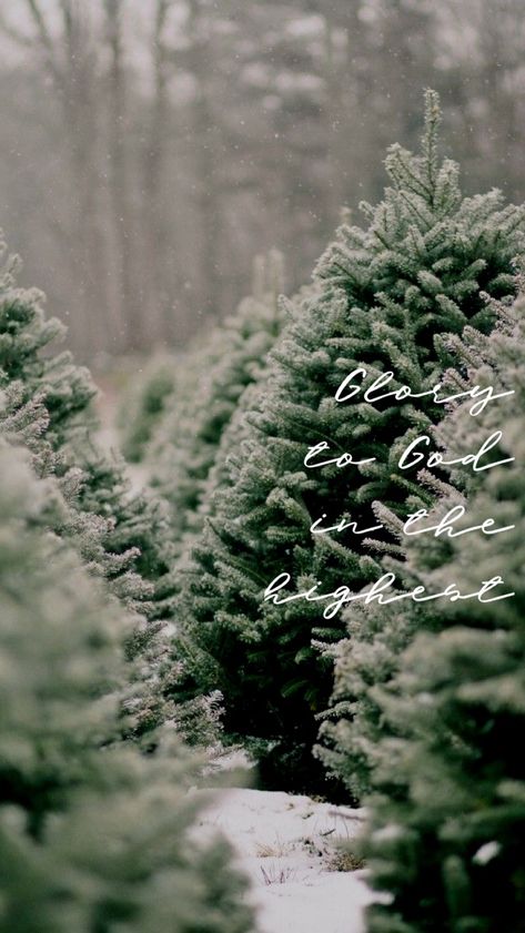 christmas bible verse background/wallpaper Tree Farm Aesthetic, Christmas Tree Farm Aesthetic, Farm Aesthetic, Full Christmas Tree, Christmas Tree Photography, Christmas Bible Verses, Christmas Bible, Winter Wonderland Christmas, Christmas Tree Shop