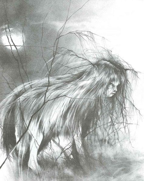 All 82 ‘Scary Stories to Tell in the Dark’, Ranked Stephen Gammell, Scary Stories To Tell, Stories To Tell, Scary Stories, In The Dark, To Tell, Hair, Black, Art