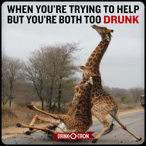 Drink-O-Tron Drunk Meme Drunk Memes, Drunk Friends, Drunk Humor, Funny Pictures With Captions, Memes Of The Day, Drinking Humor, Funny Picture Quotes, Funny Cat Pictures, Funny Love