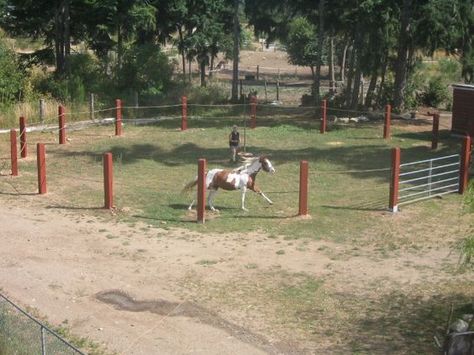 Round Pens For Horses, Horse Pens, Horse Farm Ideas, Horse Paddock, Horse Corral, Horse Arena, Horse Barn Designs, Horse Shelter, Diy Horse