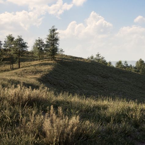 The Grasslands (UE5), Gabe Tandy on ArtStation at https://www.artstation.com/artwork/aGbYE0 Grasslands Aesthetic, Fantasy Grasslands, Ue5 Environment, College Houses, Forest Games, Diorama Ideas, 3d Environment, Biome, Fantasy Story