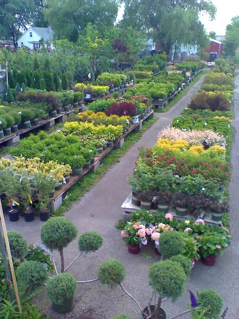 Garden Centre Aesthetic, Plant Nursery Layout, Garden Center Ideas, Garden Center Displays, Garden Business, Bell Gardens, Garden Centers, French Country Garden, Meteor Garden 2018