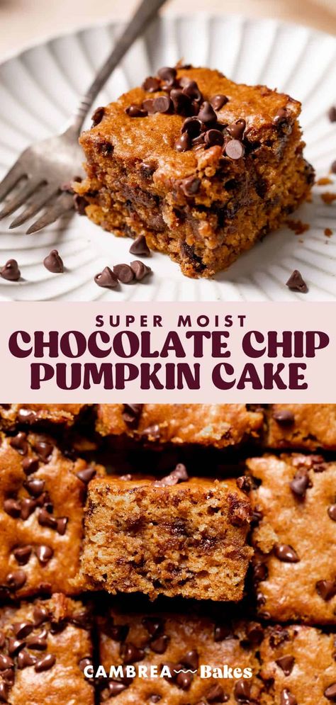 Chocolate chip pumpkin cake—moist pumpkin cake bursting with warm fall spices, pumpkin puree, brown butter, and mini chocolate chips. This easy one-bowl cake recipe is perfect for pumpkin season; it turns out perfect every time! Pumpkin Chocolate Chip Desserts, Pumpkin Cake With Chocolate Chips, Brown Butter Pumpkin Cake, Chocolate Chip Pumpkin Cake, Pumpkin Snack Cake, Pumpkin Chocolate Chip Cake, Moist Pumpkin Cake, Easy Bake Cake, Chocolate Pumpkin Cake