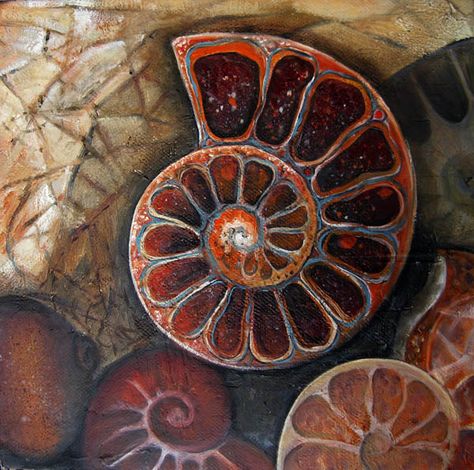 Jo Sheppard Jo Sheppard, Fossil Art, Spirals In Nature, Photo Macro, Bio Art, Art Alevel, Art Coquillage, Natural Structures, Organic Art