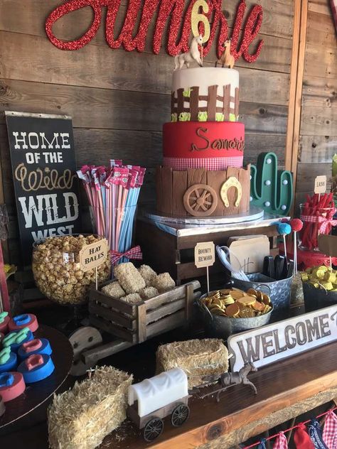 Cowboy Themed 40th Birthday Party, Country 50th Birthday Party Ideas, Stagecoach Themed Birthday, Western Birthday Party For Men, Outdoor Rodeo Party, Wild West First Birthday Party, 18th Country Birthday Ideas, Buckaroo Birthday Party, 21st Rodeo Party