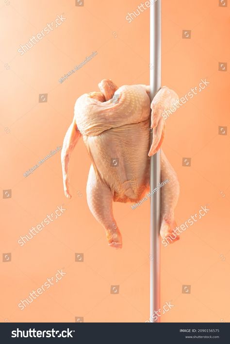 Raw Chicken Performs Pole Dance Orange Stock Photo 2090156575 | Shutterstock Shutterstock Images Stock Photos, Chicken Dancing, Dancing Chicken, Chevrolet Camaro Black, Camaro Black, Raw Chicken, Funny Chicken, Chicken Scratch, Chicken Humor