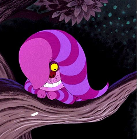 Cheshire Cat Pfp, Cheshire Cat Aesthetic, Alice In Wonderland Artwork, Cursed Memes, Wonderland Artwork, The Cheshire Cat, Cat Pfp, Cheshire Cat, Cat Aesthetic