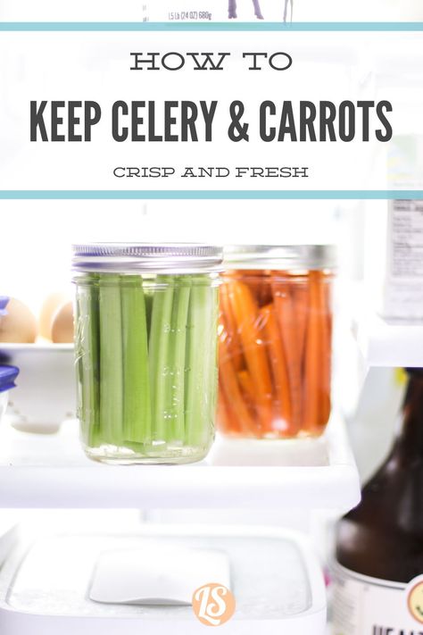 The best trick for storing carrots and celery and keeping them fresh for at least a week. Food storage tip for carrots and celery: store in water! #carrots #celery #foodstorage Celery Storage Fridge, Carrot And Celery Sticks, How To Store Carrots In The Fridge, Best Way To Store Celery In Fridge, Store Celery In Fridge, How To Keep Celery Fresh In Fridge, Storing Celery In Fridge, Storing Carrots In Fridge, Store Carrots In Fridge