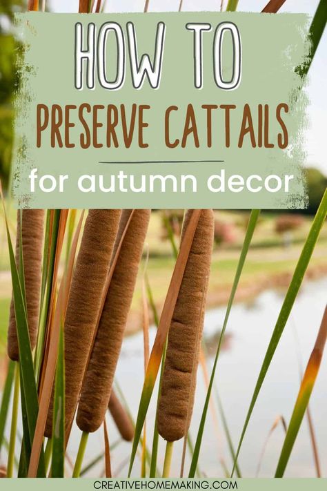 Learn how to preserve cattails for stunning fall decor! Our step-by-step guide shows you how to dry and treat cattails to make them last longer and keep their natural beauty. Use them to create unique centerpieces, wreaths, or other autumnal arrangements. Perfect for adding a touch of rustic charm to your home or event. Pin now to save for later! Foraging Fall Decor, Fall Arrangements With Cattails, Wreath With Cattails, Arrangements With Cattails, How To Dry Cattails, Fall Nature Decorations, How To Preserve Cattails, Cat Tail Arrangements, Cat Tail Floral Arrangements