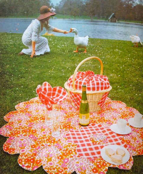 1970s kitsch picnic Vintage Picnic Blanket, Vintage Picnic Aesthetic, Picnic Video, 70s Picnic, Picnic Shoot, Texas Party, Retro Picnic, Sweet Charity, Kids Picnic