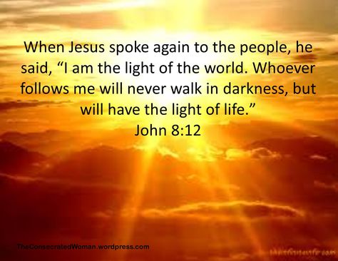 John 8:12, I Am The Light, John 8 12, John 8, Biblical Truths, Give Me Jesus, Verses Quotes, Light Of The World, Light Of Life