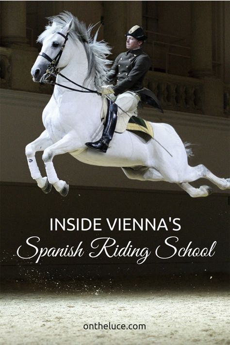 Hapsburg Family, Spanish Riding School Vienna, Lippizaner, Spanish Riding School, Spanish Horse, Riding School, Most Beautiful Horses, Majestic Horse, White Horses