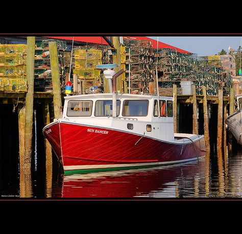 Maine Lobster Boat, Acadia Boat Colors, Tuna Boats, Portland Maine To Bar Harbor Maine, Tuna Boat, Old Port Maine, Lobster Boats Maine, Rc Boats Models, Florida Boating, Portland Maine Lighthouse