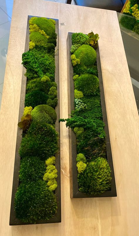 Shelves that are mounted on the wall and designed specifically to hold small pots or containers. Moss Wall Art Living Room, How To Preserve Moss, Moss Art Ideas, Moss Ball Centerpiece, Mossy Centerpieces, Moss Wall Bathroom, Moss Art Diy, Moss Picture Frame, Diy Moss Wall Art