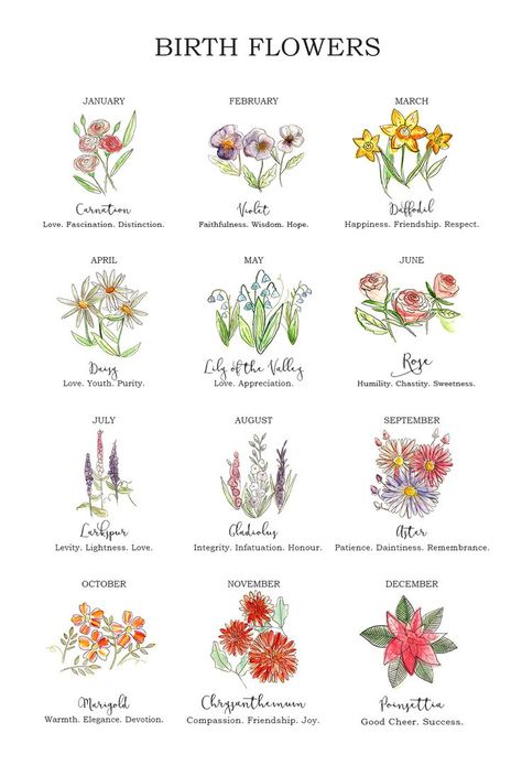 Character Qualities, Flower Bookmarks, 달력 디자인, Watercolour Flower, Ellie Ellie, Birth Flower Tattoos, Seni Dan Kraf, Flower Meanings, Flower Bookmark