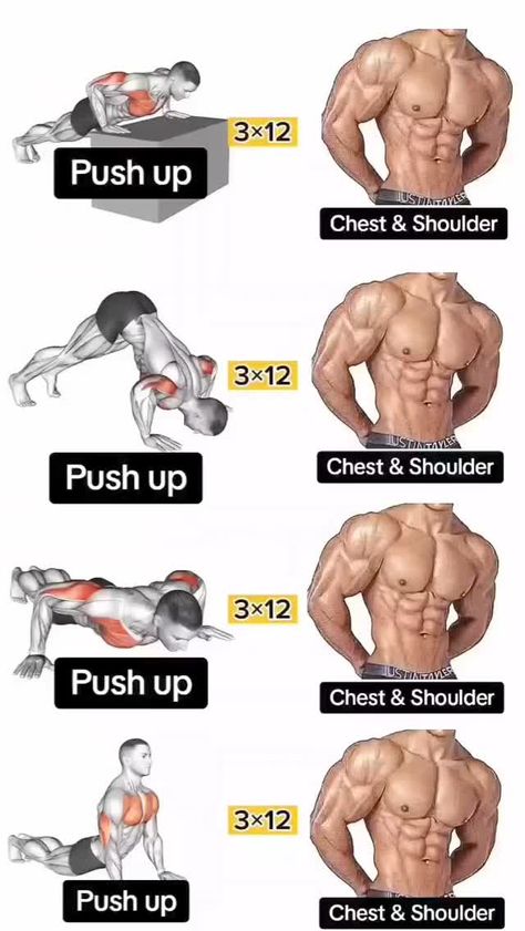 FITNESS • GYM • WORKOUT (@strengthsfitness) on Threads Workout Programs At Home, Chest And Shoulder Workout, Shoulder Workout At Home, Chest Workout At Home, Chest Workout For Men, Princess Anime, Gym Workout Guide, Latihan Dada, Workout Plan For Men