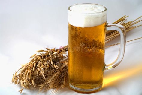 Barley and beer. Spikelets barley, wheat and oat with glass of beer #Sponsored , #sponsored, #Sponsored, #beer, #oat, #glass, #Spikelets Barley Beer, Glass Of Beer, Barley, Life Images, Cider, Oats, Beer Glasses, Wheat, See More