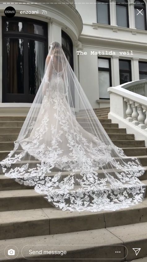 Wedding Veils With Ballgown Dress, Cathedral Wedding Gown, Wedding Dresses Vale, Wedding Dress With Train And Veil, Long Vail Wedding Dresses, Wedding Vale Long, Vails Wedding Hair Down, Long Train Wedding Dress Cathedral Veils, Veil Train