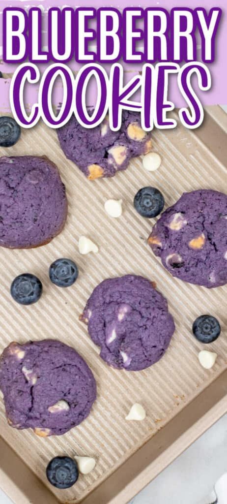 Blueberry White Chocolate Cookies, Blueberry White Chocolate Chip Cookies, White Chocolate Chip Cookies Recipes, Blueberry White Chocolate, Small Batch Cookies, Chocolate Chip Cookies Ingredients, Blueberry Cookies, White Chocolate Chip, Lemon Blueberry Muffins