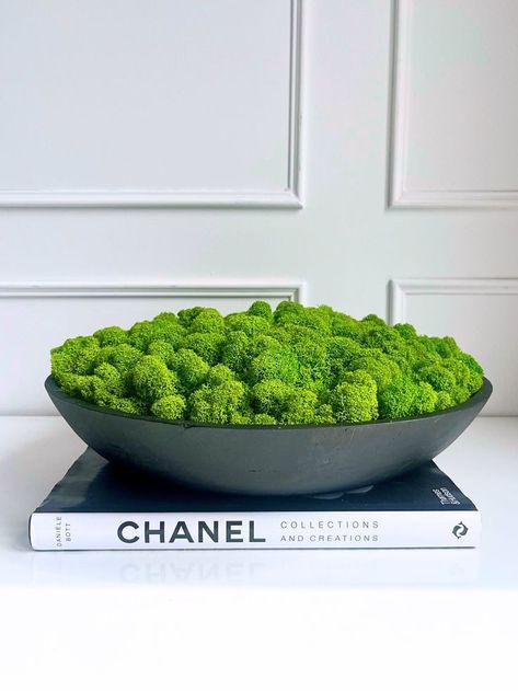 Nature, Moss Arrangements, Moss Bowl, Coffee Table Arrangements, Moss Centerpieces, Greenery Arrangements, Reindeer Moss, Table Styling, Coffee Table Styling