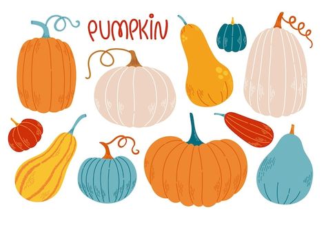 Pumpkin set different colors and sizes f... | Premium Vector #Freepik #vector #food #design #halloween #cartoon Pumpkin Graphic Design, Squash Drawing, Pumpkins Illustration, Autumn Vector, Colorful Pumpkins, Cartoon Leaf, Pumpkins And Gourds, Wallpaper 2024, Pumpkin Illustration