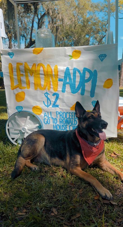 #adpi #lemonadestand #rmhc Lemonade Stand, Lemonade