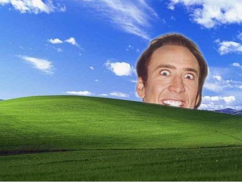 The 25 Funniest Desktop Wallpapers Ever (GALLERY) Wallpapers Funny, Apple Iphone Wallpaper Hd, Frog Wallpaper, Computer Humor, Laptop Wallpaper Desktop Wallpapers, Windows Wallpaper, Laptop Backgrounds, Easter Wallpaper, Your Wallpaper