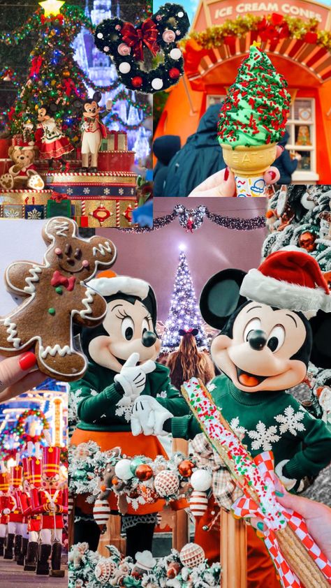 The most wonderful time of year in the happiest place on earth #disneyland #christmas #disney Disneyland Christmas Aesthetic, Disneyland Christmas Outfit, Mickeys Christmas Carol, Christmas Episodes, Disneyland Christmas, Disney World Christmas, Disney Christmas Ornaments, Christmas Disney, Christmas Aesthetic Wallpaper