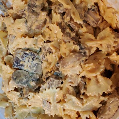 Transform leftover steak into a hearty steak stroganoff using a cream cheese-based mushroom sauce served over farfalle pasta as a comforting weeknight dinner. Steak Stroganoff Recipe, Steak Stroganoff, Mignon Steak, Filet Mignon Steak, Steak Pasta, Leftover Steak, Leftover Beef, Farfalle Pasta, Cheese Steak