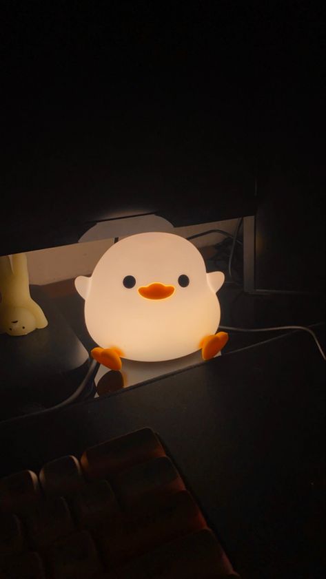 Aesthetic Lamp Night, Ducks Cute, Duck Lamp, Night Room, Lamp Cute, Period Care, Animal Lamp, Dressing Room Decor, Soft Things