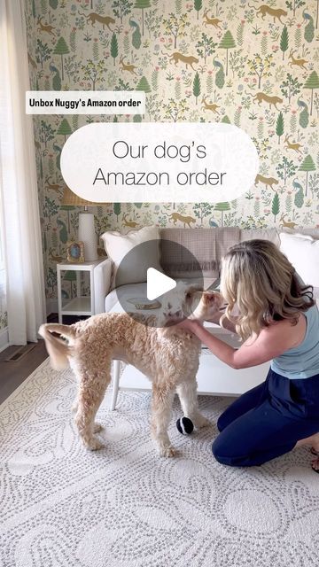 Kati Nairn | Beyond Gray on Instagram: "Comment DOG ITEMS for links to Nuggy’s restock order. 🐶" Kati Nairn, Amazon Orders, Dog Items, Dogs, On Instagram, Instagram