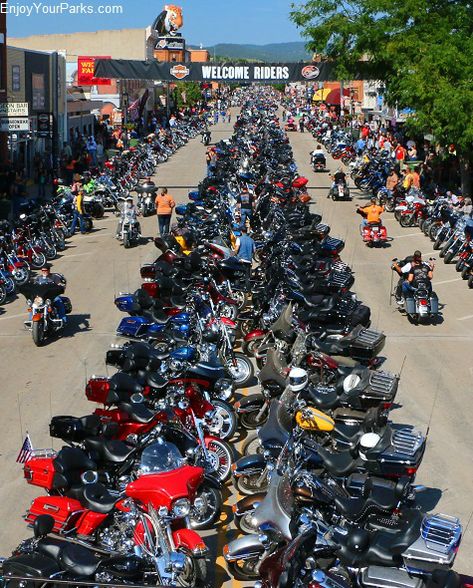 Sturgis Bike Week, Sturgis Rally, Moto Logo, Biker Stuff, Sturgis Motorcycle Rally, Motorcycle Gang, Bike Rally, Motorcycle Events, Motorcycle Rallies