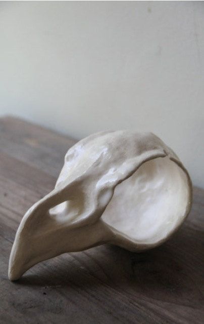 tiny bird skull. Sculpture Art Clay, Siluete Umane, Sculptures Céramiques, Clay Diy Projects, Tanah Liat, Keramik Design, Clay Inspiration, Tiny Bird, Seni 3d