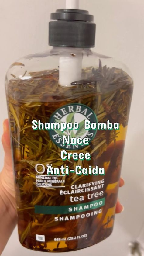 Karla Carval on Reels | Global Genius · Half The Way Home Shampoo Bomba, Healthy Natural Hair Growth, Tea Tree Shampoo, Hair Growing Tips, Hair Growth Shampoo, Healthy Natural Hair, Hair Solutions, Hair Remedies, Short Hair Updo