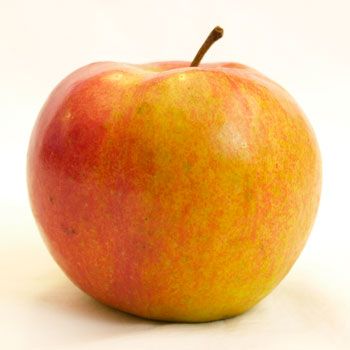 Jonagold Apples have tender skin. The skin has a yellow background with red blush or stripes.    Inside, these large apples have crisp, juicy, yellow-coloured flesh. The taste is tart and sweet. http://www.cooksinfo.com/jonagold-apple Apple Facts, Yellow Apple, Friends Poster, Red Blush, Still Life Drawing, Fresh Fruits, Side Recipes, Apple Recipes, Yellow Background