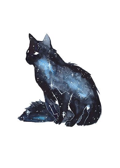 Watercolor and white ink. • Also buy this artwork on wall prints, apparel, stickers, and more. A Cat, The Sky, Black Cat, Stars, White, Black