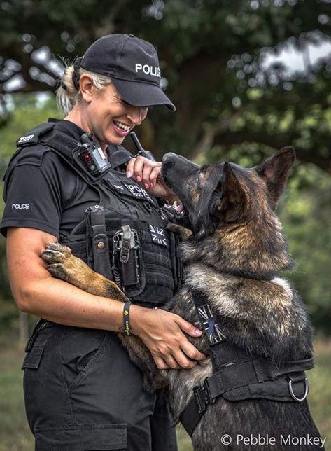 PICS: Thames Valley Police dogs and Pensions4paws canines | Oxford Mail Police Uniform, Police Dogs, In The Spotlight, A Dog, Oxford, Dogs