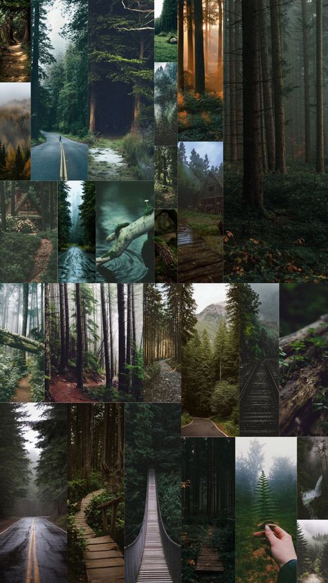 Twilight Inspired Wallpaper, Nature Aesthetic Wallpaper Collage, Forest Collage Wallpaper, Nature Collage Aesthetic, Forest Aesthetic Collage, Earth Signs Aesthetic, Earth Sign Aesthetic, Nature Aesthetic Collage, Mystical Forest Aesthetic