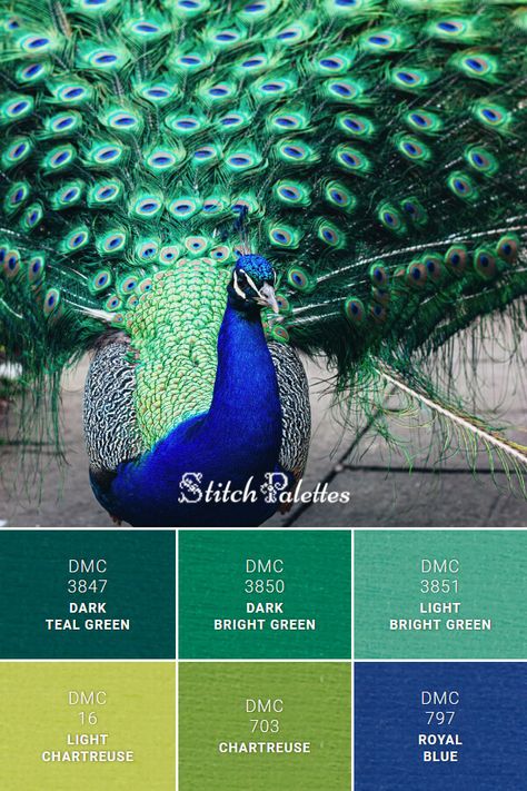 ⁣🎨 PALETTE ID: SPA0131⁣Floss color inspiration for cross stitch and embroidery projects.⁣🧵 Thread colors used 🧵⟼ DMC 3847 / Dark Teal Green ⟼ DMC 3850 / Dark Bright Green ⟼ DMC 3851 / Light Bright Green ⟼ DMC 16 / Light Chartreuse ⟼ DMC 703 / Chartreuse ⟼ DMC 797 / Royal Blue Royal Blue And Green Bedroom, Colors That Go Together With Green, Royal Blue Goes With What Color, Teal And Green Colour Palette, Emerald And Blue Color Palette, Blue Green Complementary Colors, Cobalt Green Color Palette, Shades Of Green Colour Palettes, Dark Peacock Paint Color