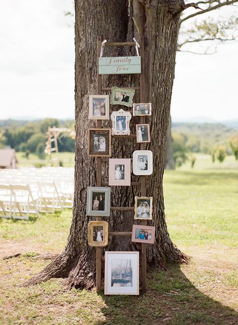 Family Tree #Ceremony #Decor #Decoration #Wedding #WeddingDecor #weddingDecoration #Casamentos #Cerimonia #Decoracao #DecoracaoDeCasamento Decorating Tree For Wedding, Wedding Frame Decor, Decorating Trees For Wedding, Photo Tree Wedding, Oak Tree Wedding Decorations, Family Tree Wedding Display, Wedding Family Tree, Family Tree Decor, Tree Wedding Decor