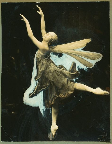 one more Anna Pavlova in Dragonfly,1914 Victorian Fairies, Famous Ballet Dancers, Stars Vintage, Ballet Russe, Vintage Ballerina, Anna Pavlova, Fairy Castle, Vintage Ballet, Prima Ballerina