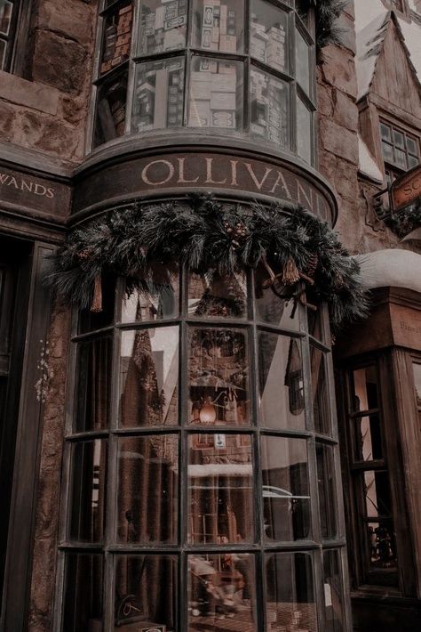 Ville Steampunk, متحف فني, Dark Acadamia, E T, Aesthetic Dark Academia, Library Aesthetic, Images Harry Potter, Hogwarts Aesthetic, Slytherin Aesthetic