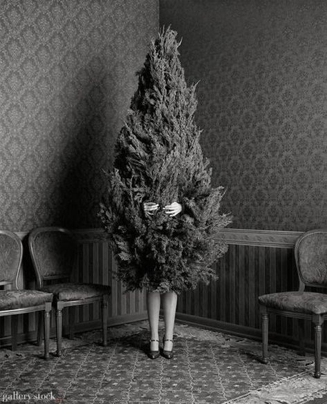 Past Decades Of Outrageously Funny, Whimsical Christmas & Winter Fashions | Do You Remember? Black And White Photograph, Whimsical Christmas, Christmas Past, Noel Christmas, White Photo, Christmas Inspiration, Christmas Cheer, White Photography, All Things Christmas