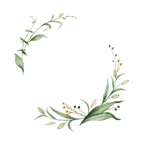 Vector watercolor vector wreath of green... | Premium Vector #Freepik #vector #flower-wreath #watercolor-wreath #floral-wreath #floral-frame Flower Wreath Illustration, Olive Branch Wreath, Sublimacion Ideas, Wreath Illustration, Watercolor Vector, Branch Vector, Watercolor Wreath, Flower Graphic Design, Floral Banners