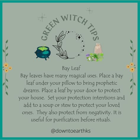 Green Witch Quotes, Green Witch Tips, Green Witchcraft Aesthetic, Green Witch Spells, Spells Jars, Coven House, Grimoire Inspiration, Green Witchery, Hedge Witchery